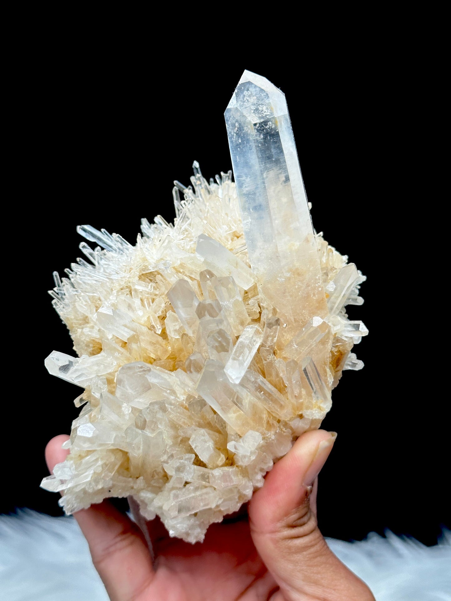 Rare Golden Healer DNA Blue Feather Lemurian Quartz Cluster Specimen