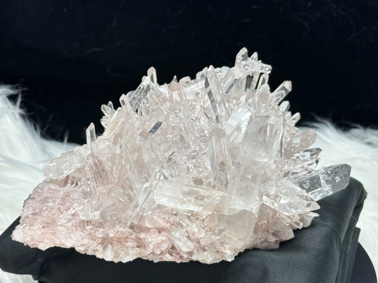 Extra High Quality Sacred Rose Pink Lemurian Quartz Cluster Specimen