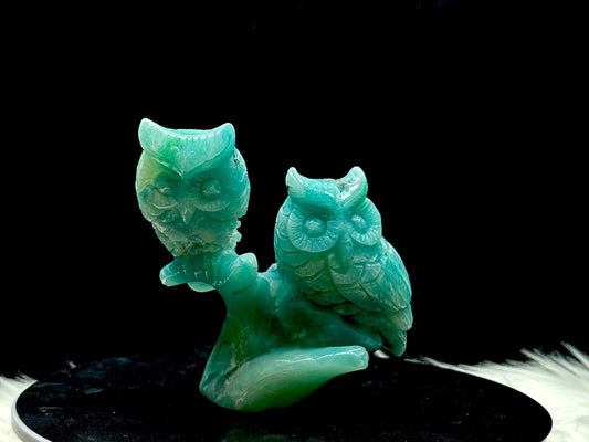 Cute Amazonite Owl couple carving, crystal bird carving