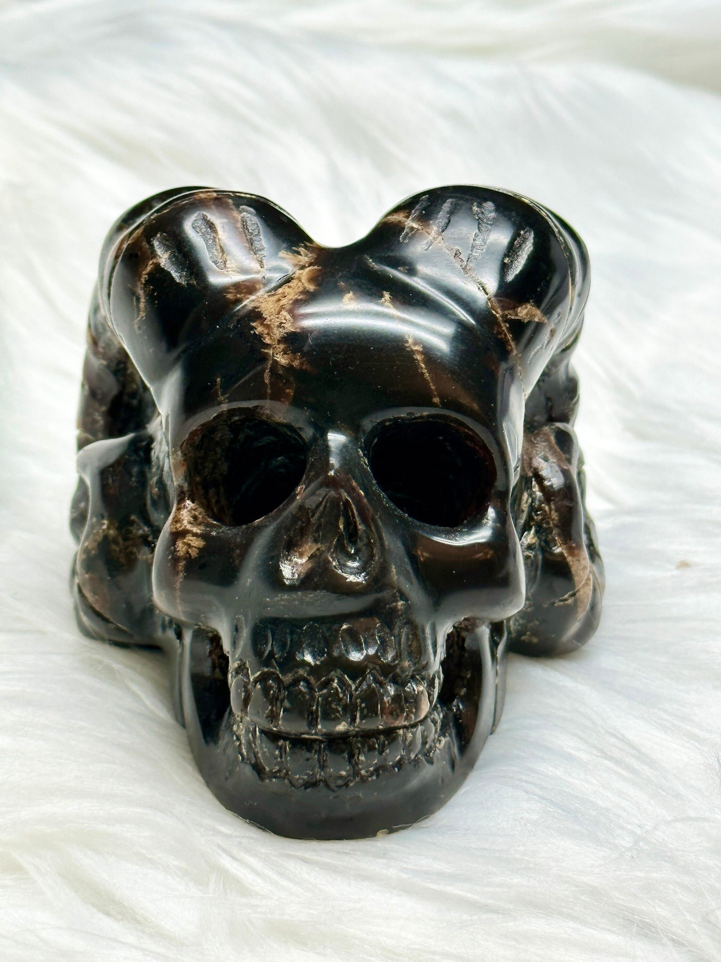 Magical Blue Dominican Amber Skull