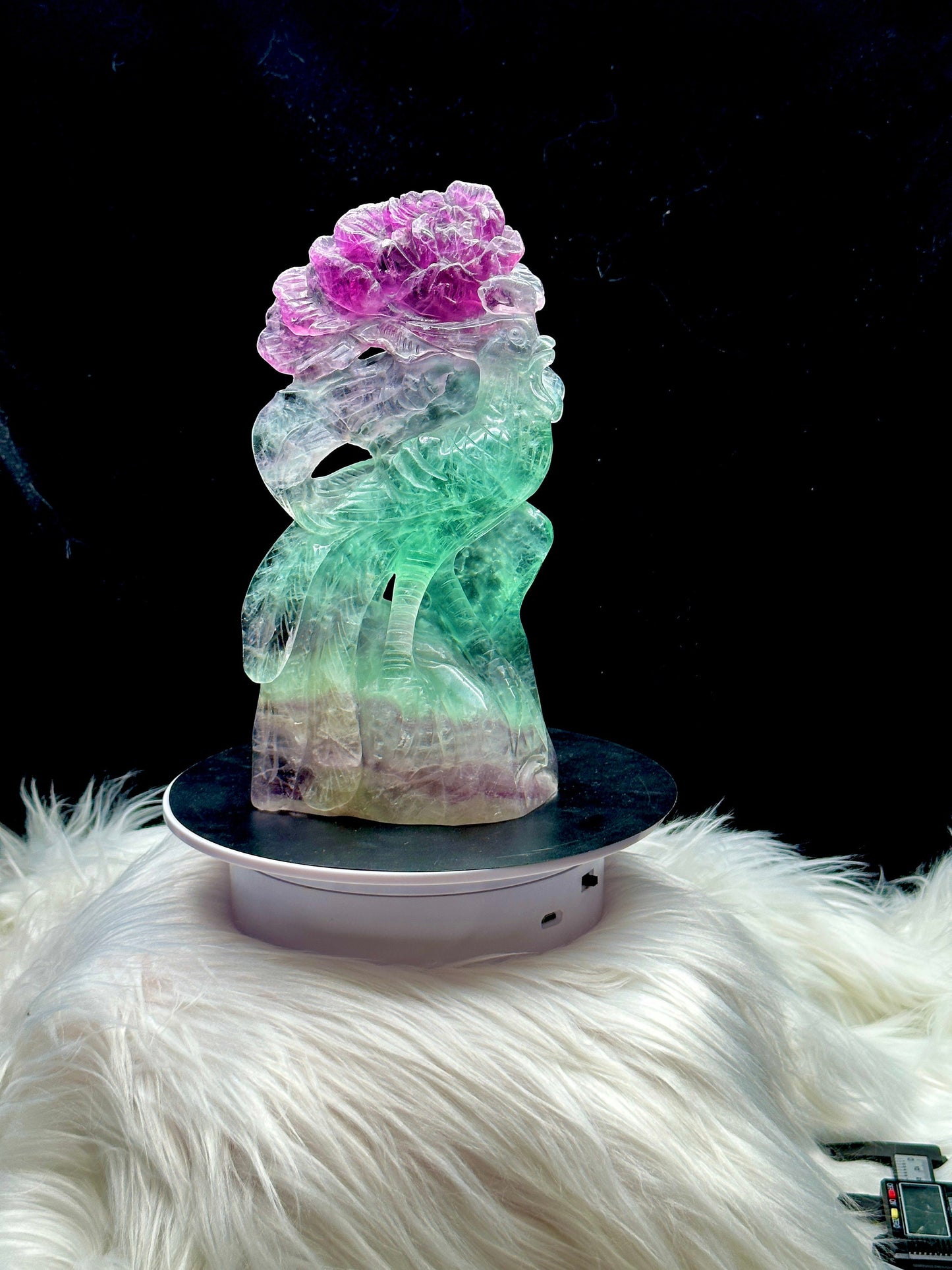 Rare Super Pretty Fluorite Crystal Peacock Carving - 9 inches tall , 1.2kg