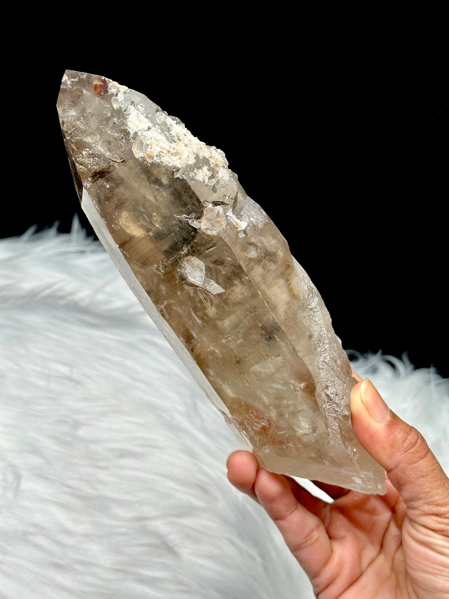 Large Smoky Lemurian Quartz Crystal Raw Specimen - 809g, 8 Inches - Metaphysical Healing Crystal